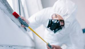 Best Real Estate Pest Inspections  in Grayson, KY